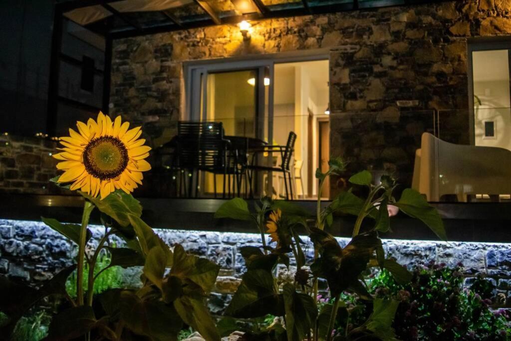 Istron Avra Apartamento Kalo Chorio  Exterior foto